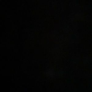 Meet your Posher, Rocco